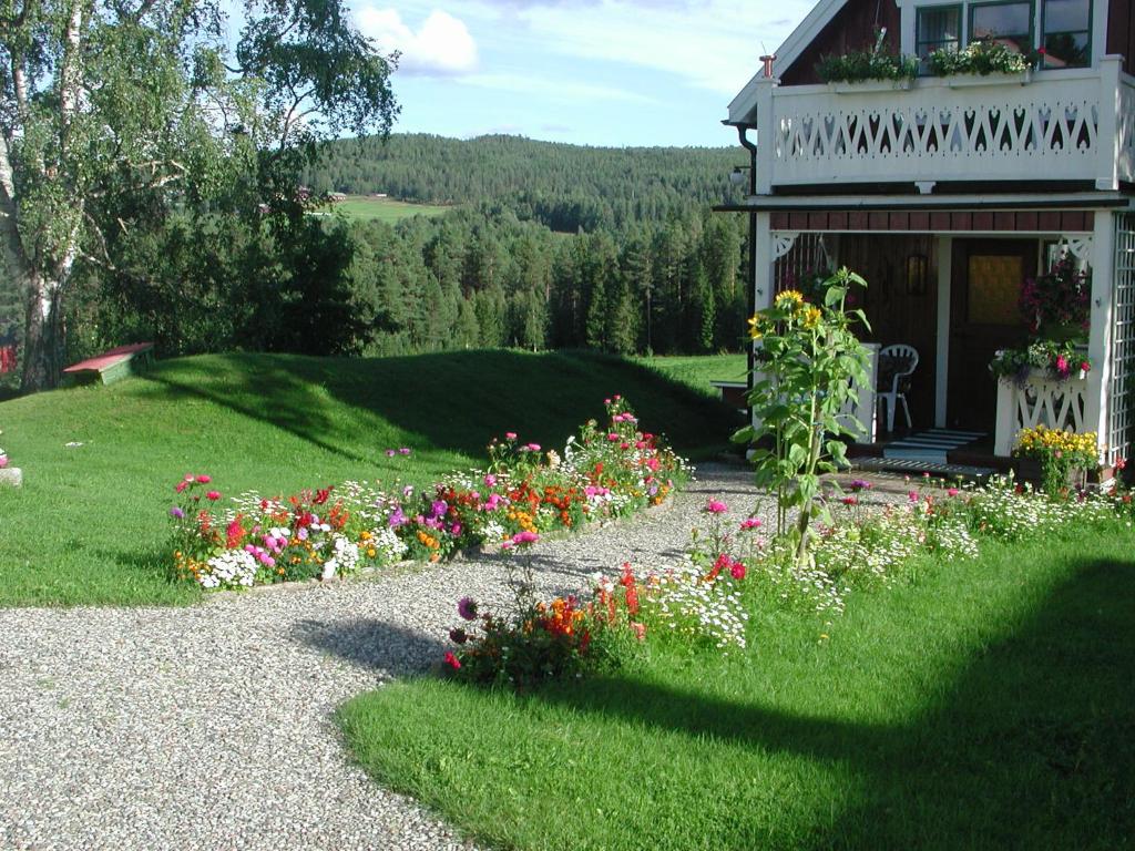 Zorbcenter Holiday Homes photo 2