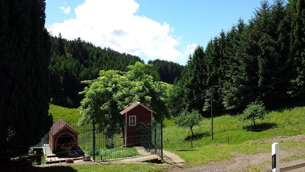 Ferienwohnung Ringwald photo 1