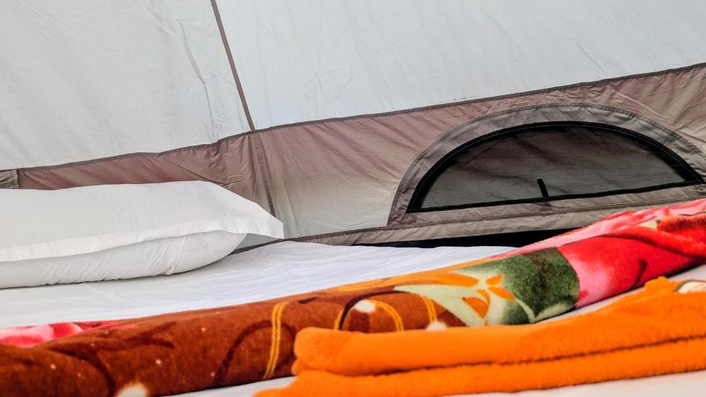 Maasai Homestay Experience-Lake Natron - Tap to explore photos