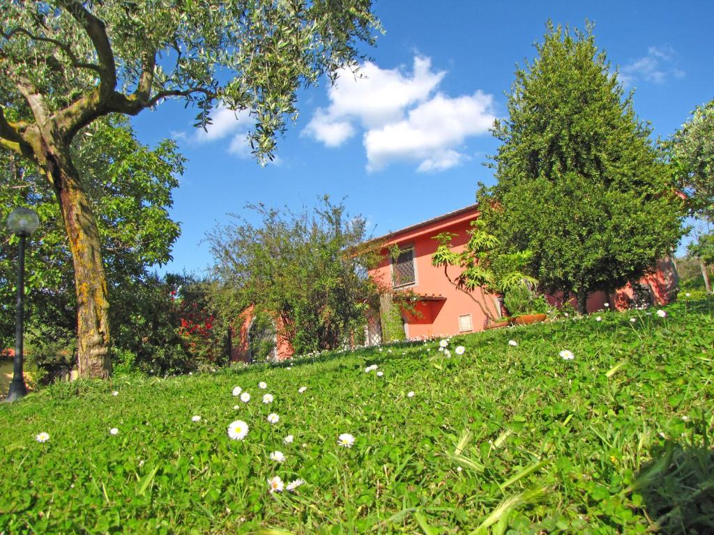 B&B Ai Glicini - Castelli Romani photo 1