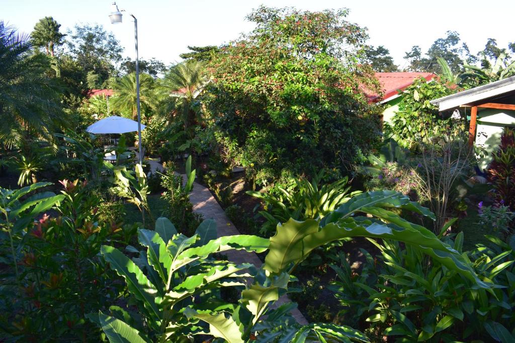 Hotel Roca Negra Del Arenal photo 2