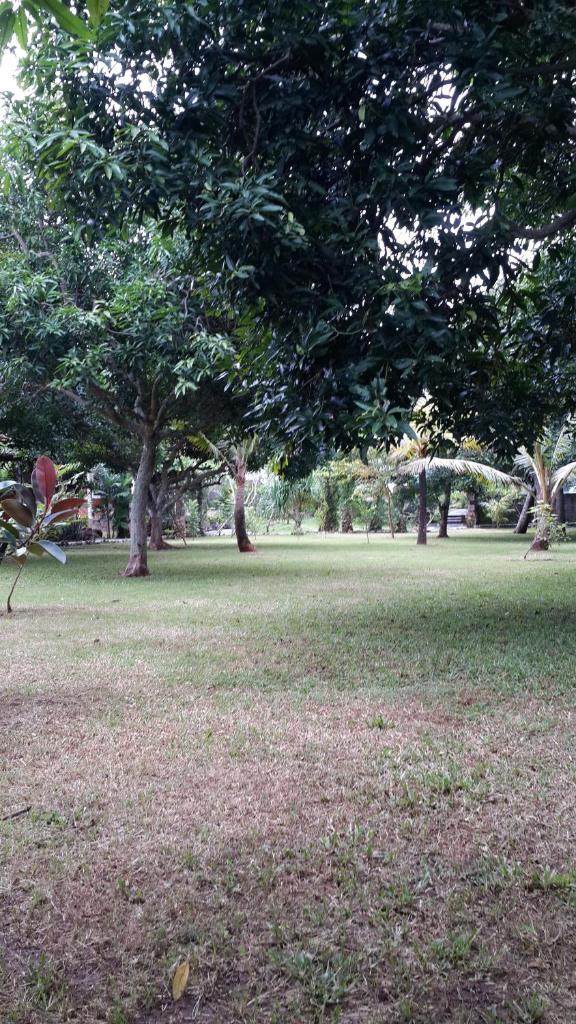 Medori Putih Homestay photo 3