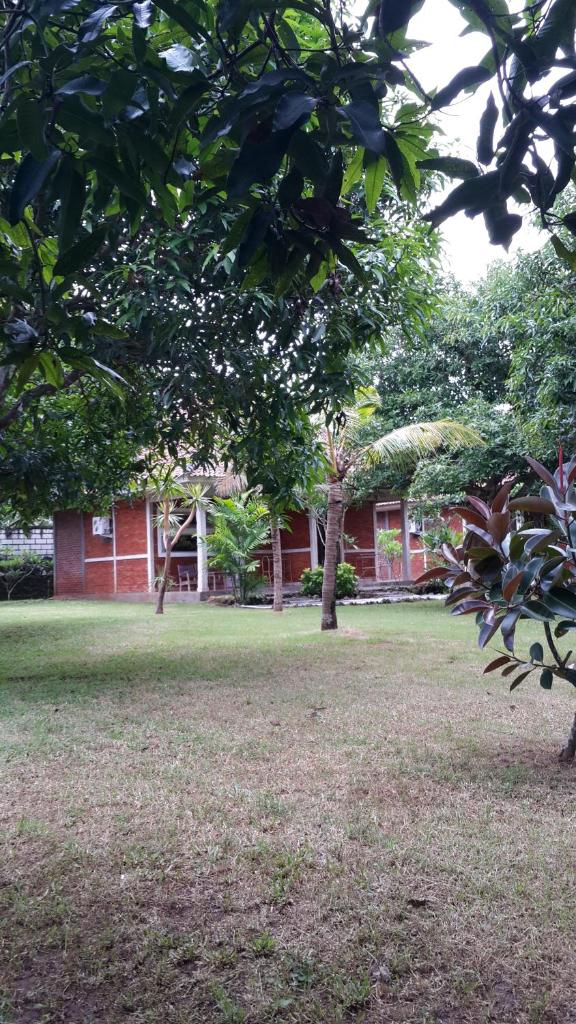 Medori Putih Homestay photo 4