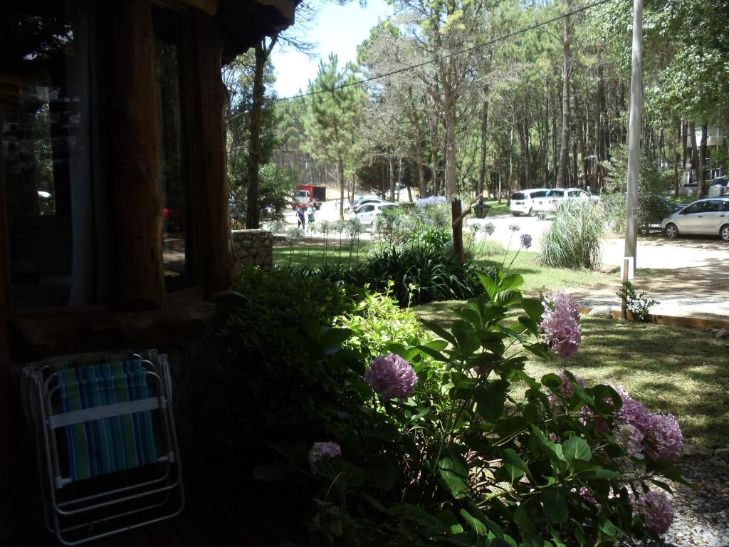 Patagonia Playa Suites photo 3