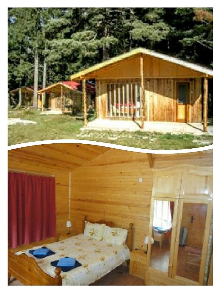 BUNGALOWS SKI PISTA Govedarci photo 4