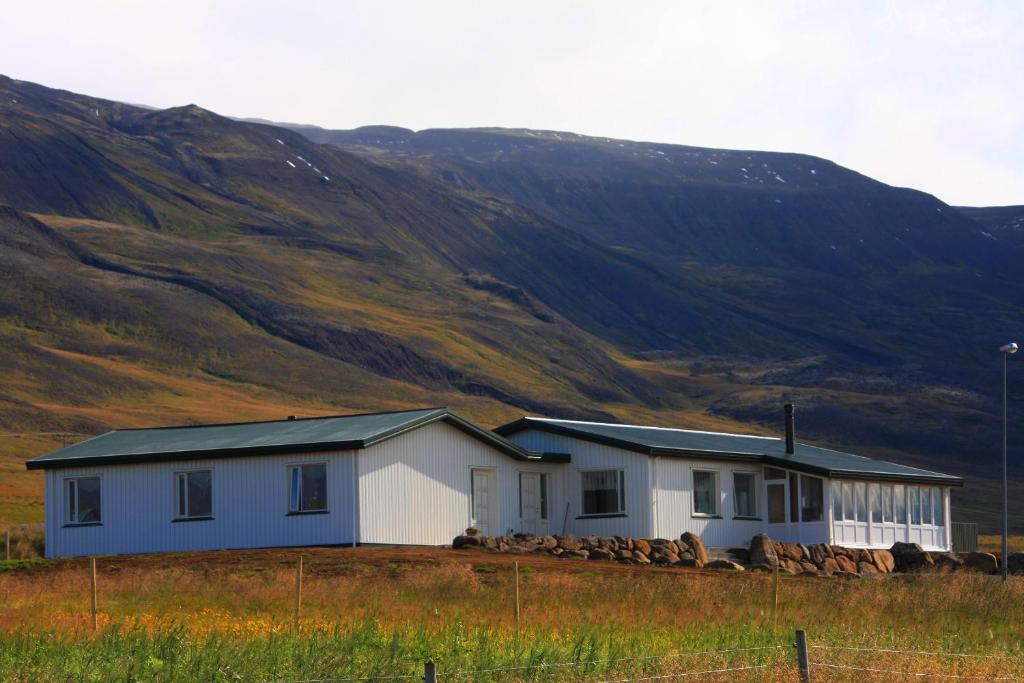 Hofsstadir Farmhouse photo 4