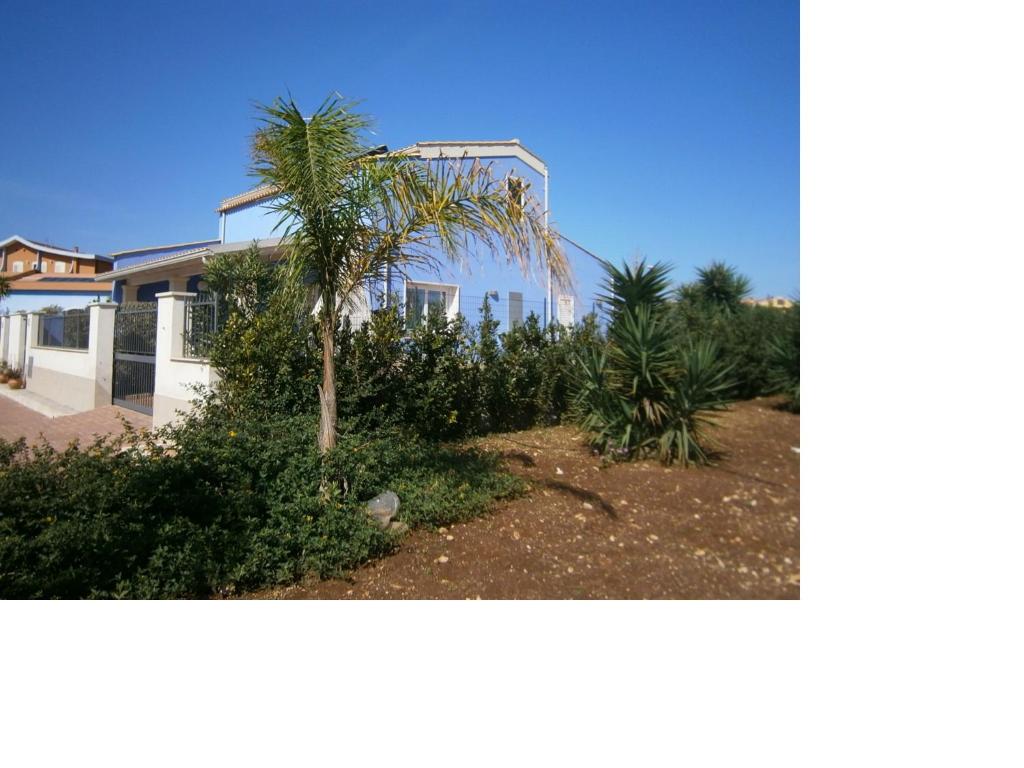 Villa Daniele photo 4
