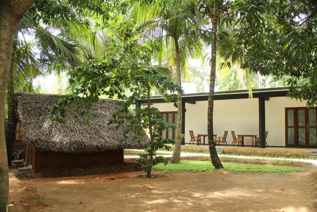 Ariya Tissa photo 1