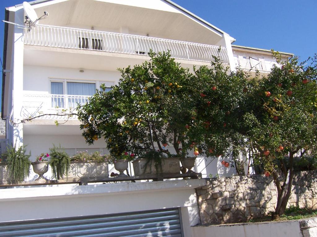 Apartments Ivan photo 2
