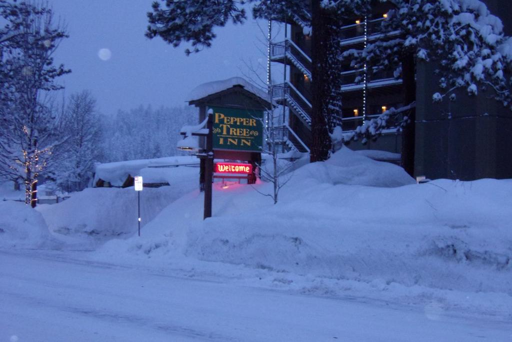 Pepper Tree Inn image