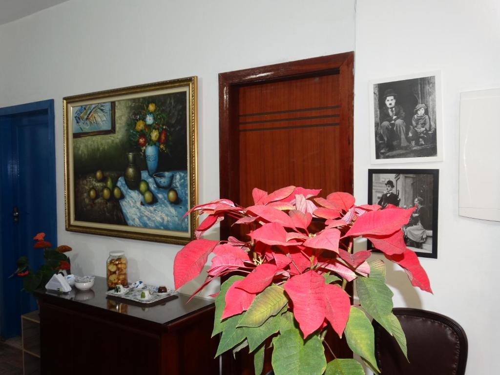 Estalagem 11 Suites photo 2