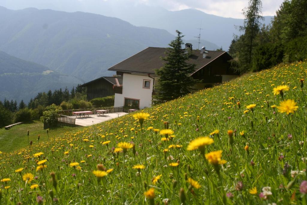 Biogasthaus Plonerhof photo 2