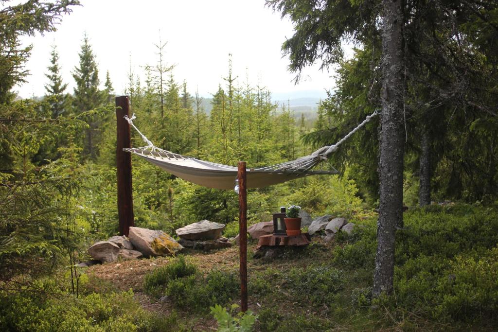 Cozy forest cabin with amazing mountain view - Tap to explore photos
