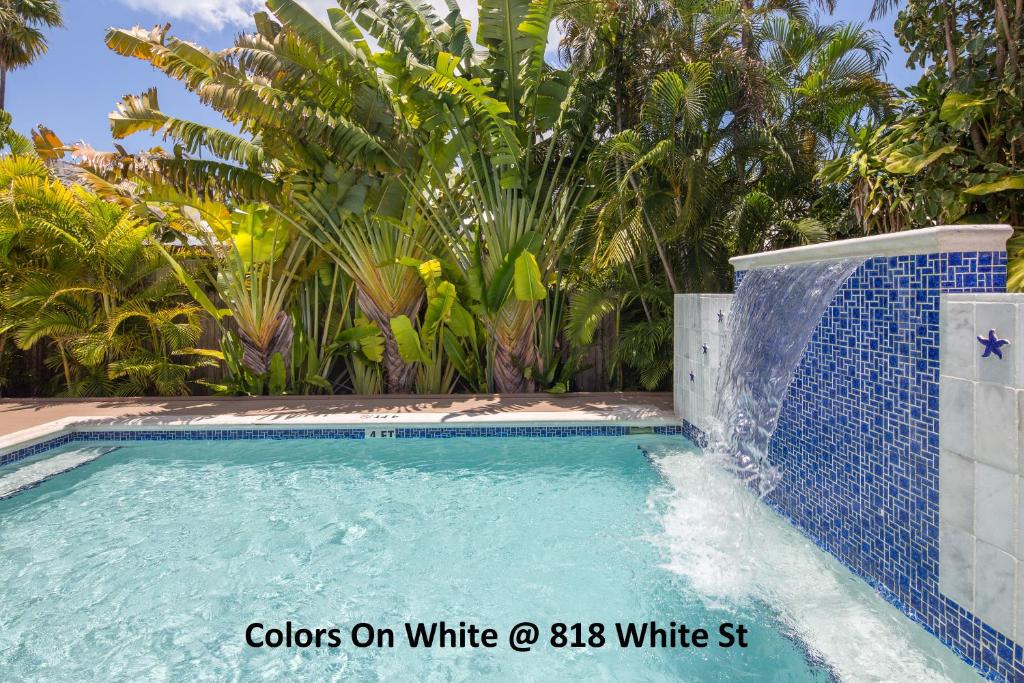 Colors on White photo 4