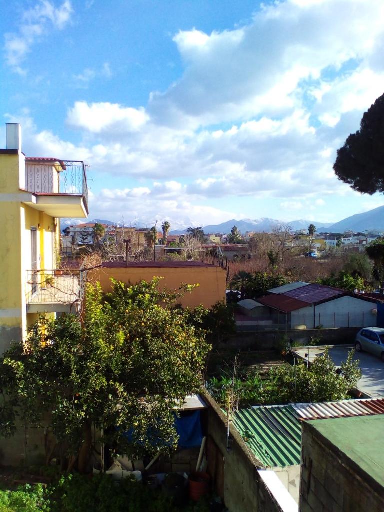 B&B Frangi photo 3