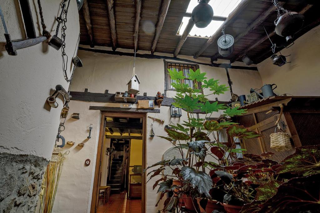 Apartamentos Rurales Tía Josefa photo 3