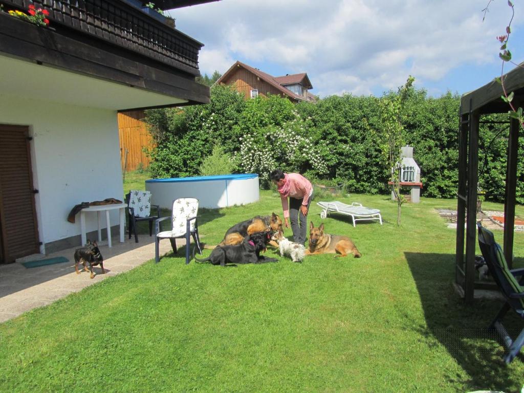 Pension Sonnleit´n - Urlaub mit Hund photo 4