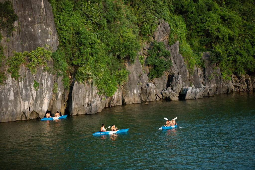 Orchid Ha Long Cruise