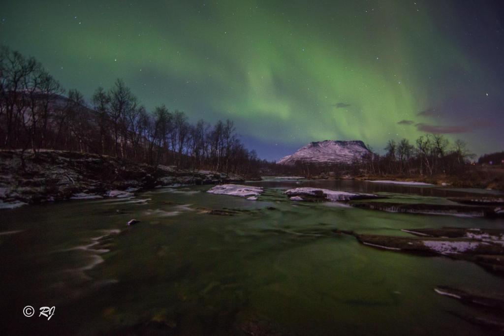 Lapphaugen Turiststasjon photo 2