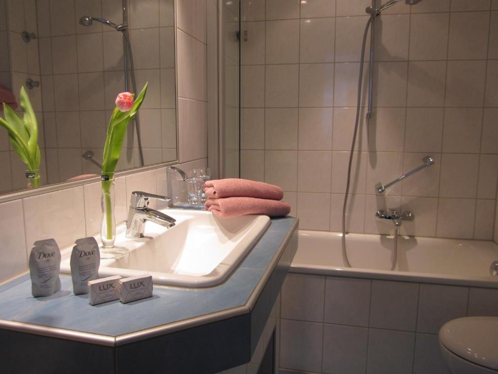 Hotel Anlage Heidelberg photo 1