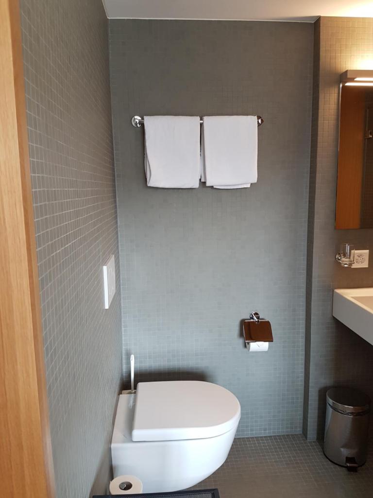 Двухместный (Двухместный номер с 1 кроватью и видом на реку), East-West Riverside Hotel Basel