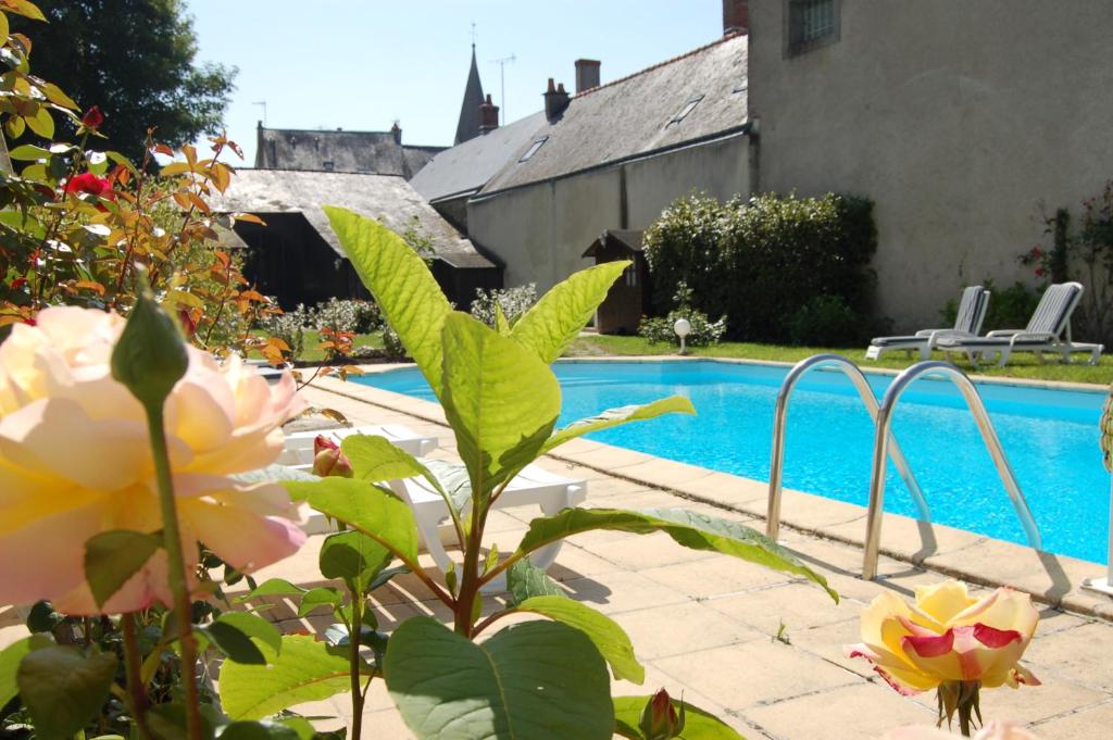 Logis Hotel Restaurant Le Cheval Blanc photo 1