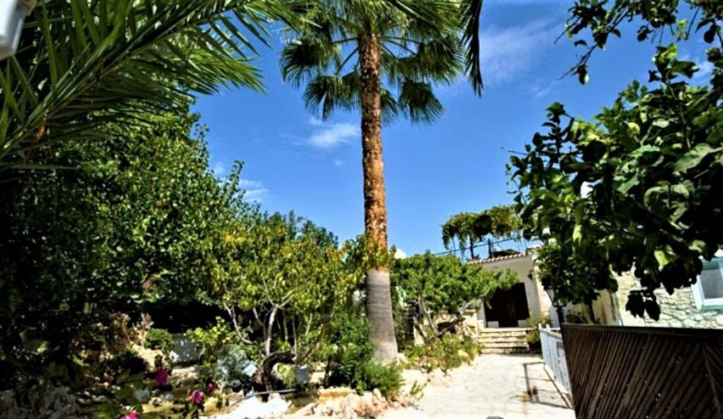 Rose Garden Villa Peristerona photo 2