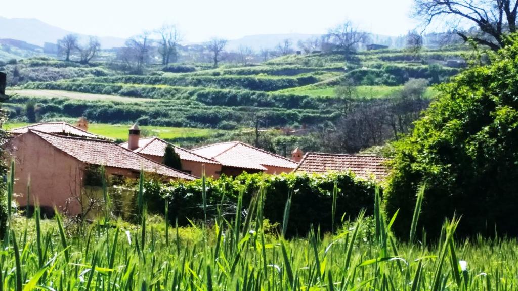 Rural Las Llanadas photo 4