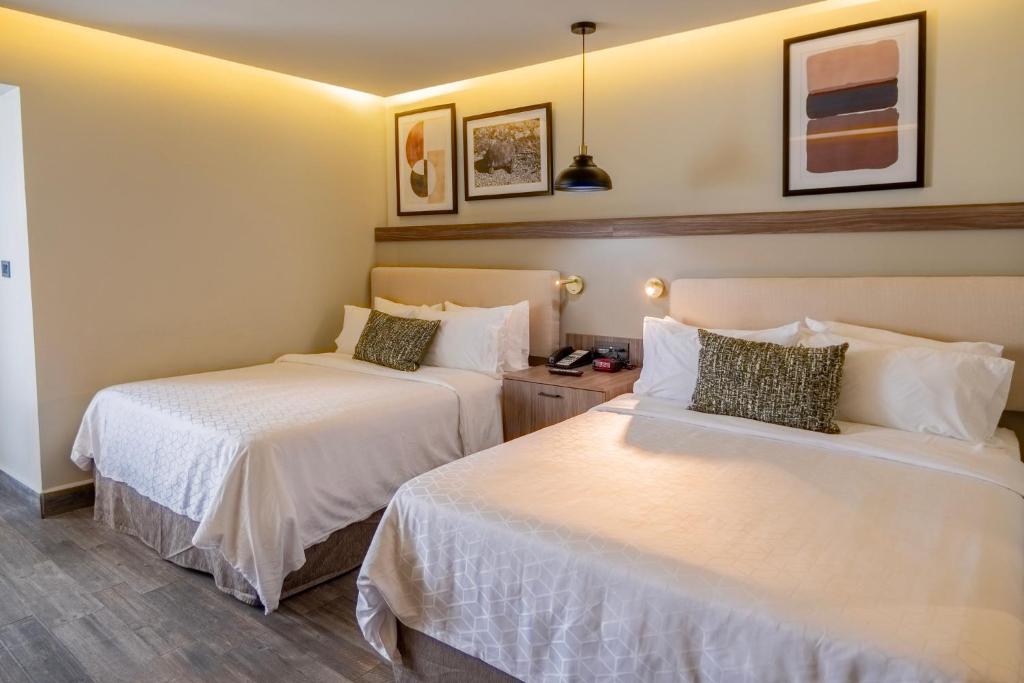 Holiday Inn HERMOSILLO Room Type - Standard Room, 2 Queen Beds