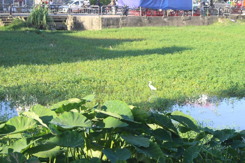 Hoi An Green View Homestay & Villa