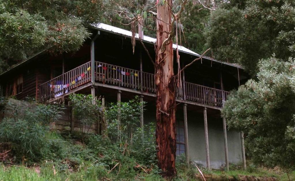 Tall Trees Eco Retreat photo 3