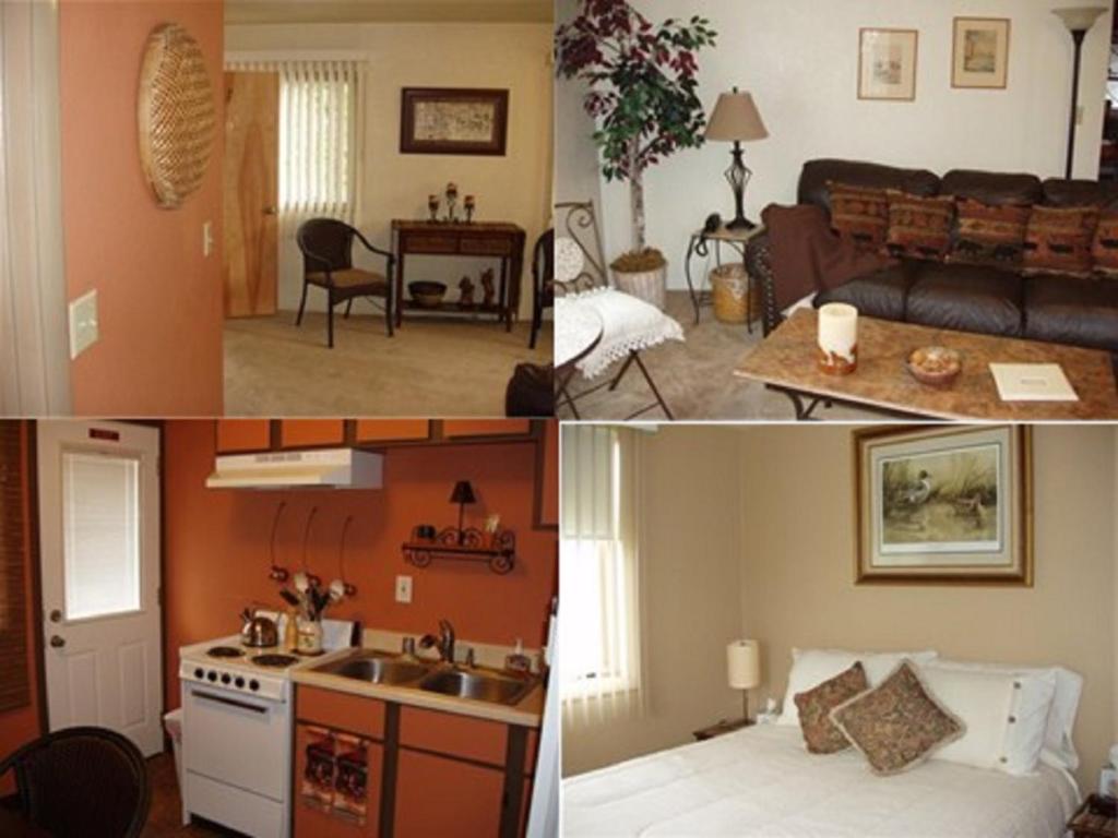 Summit View Lodge image