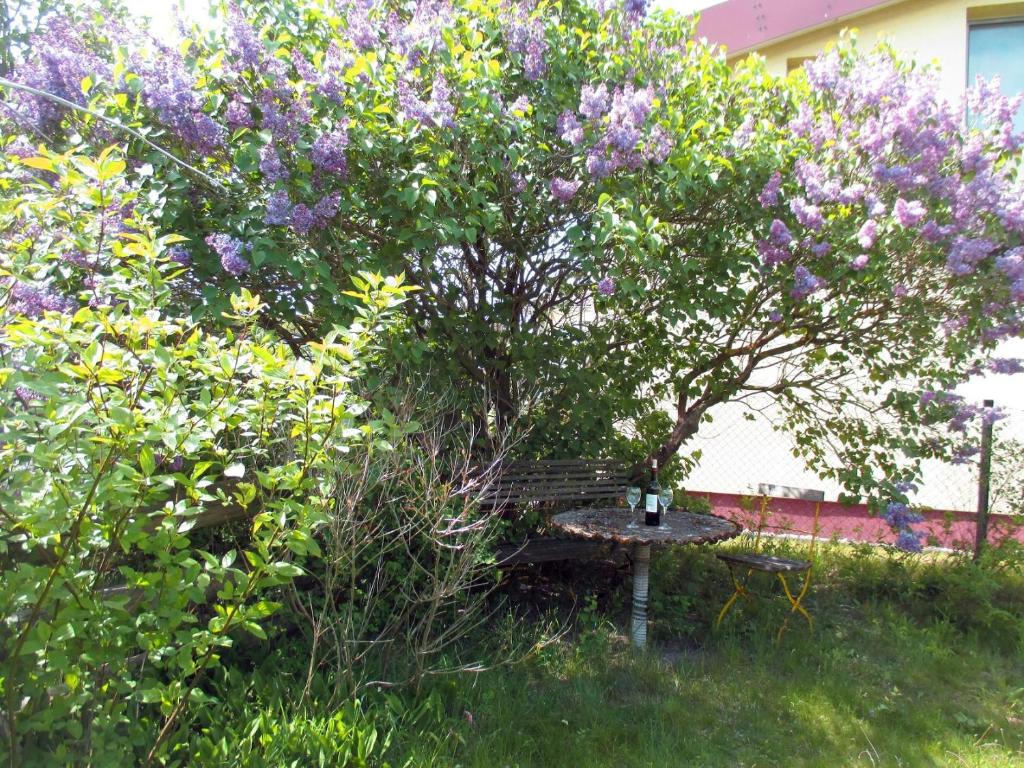 Ferienwohnungen Kanuhof photo 1