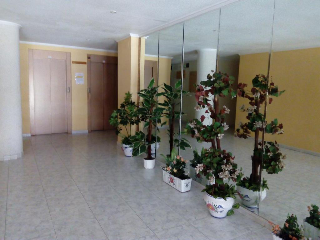 Apartment only 250m from the beach Los Locos photo 4