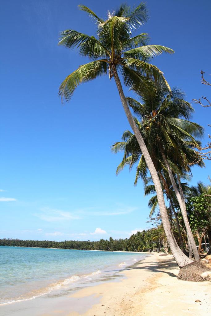 Koh Mak Resort photo 2