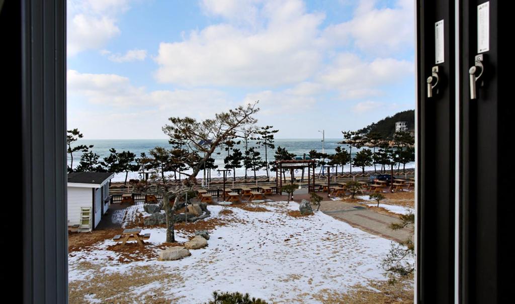 Hotel Mallipo photo 2