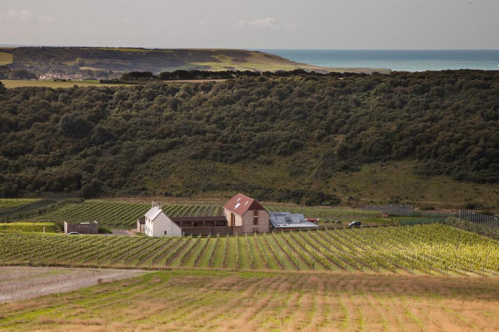 Flint Barns, Rathfinny Wine Estate
