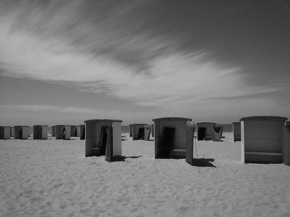 B&B Mol photo 4