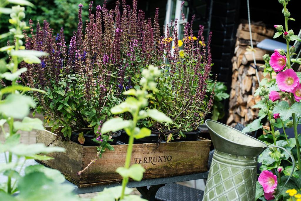 Grundfør bed and breakfast photo 4
