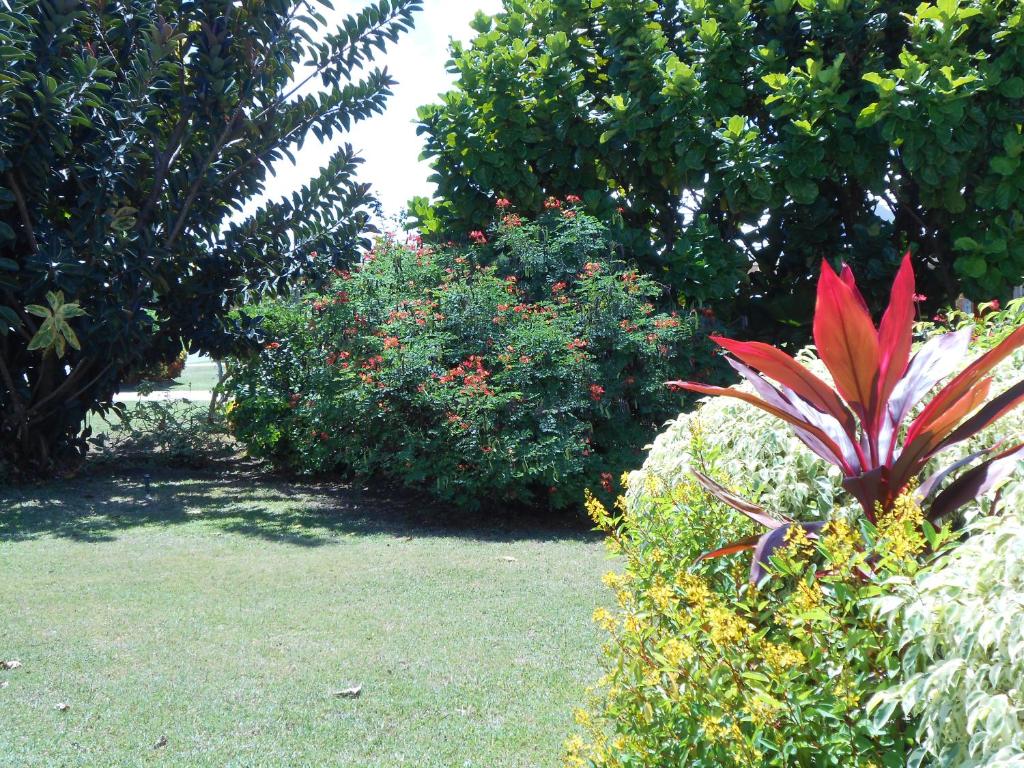 Villa Sans-Souci photo 2