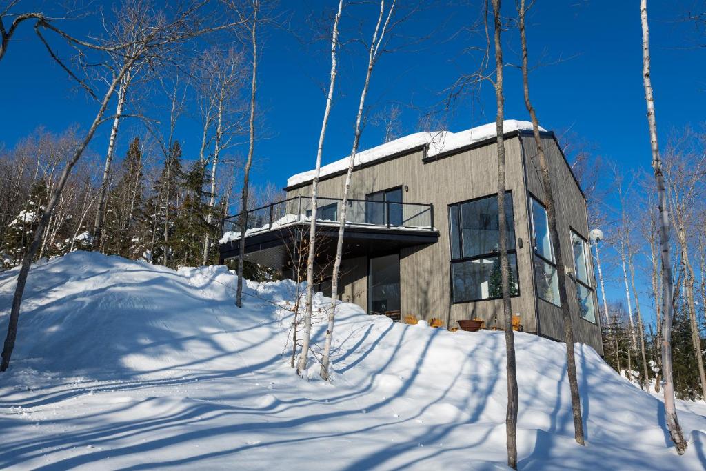 Chalet Equinox photo 4