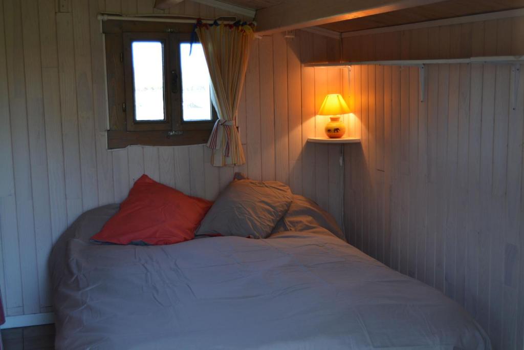 Gite foret landaise photo 4