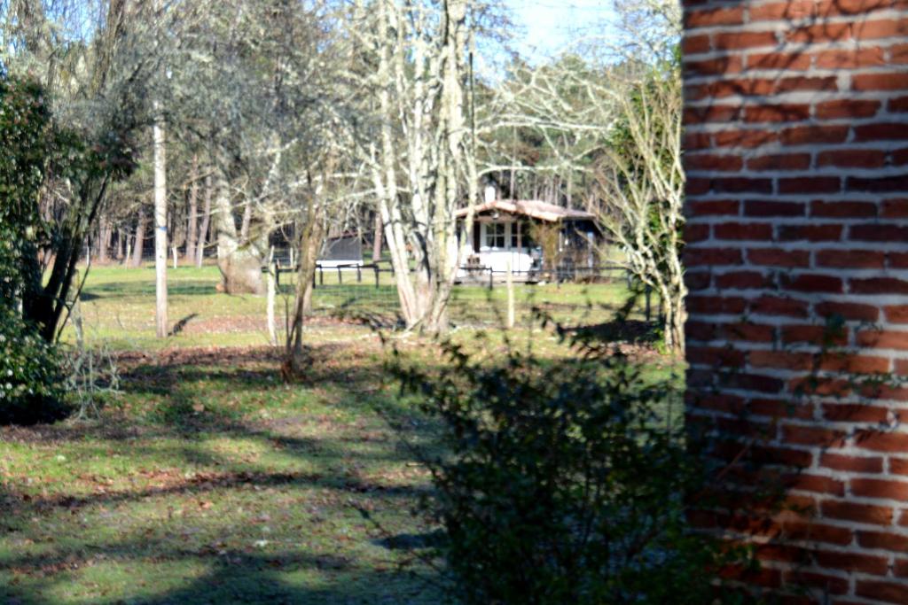 Gite foret landaise photo 1
