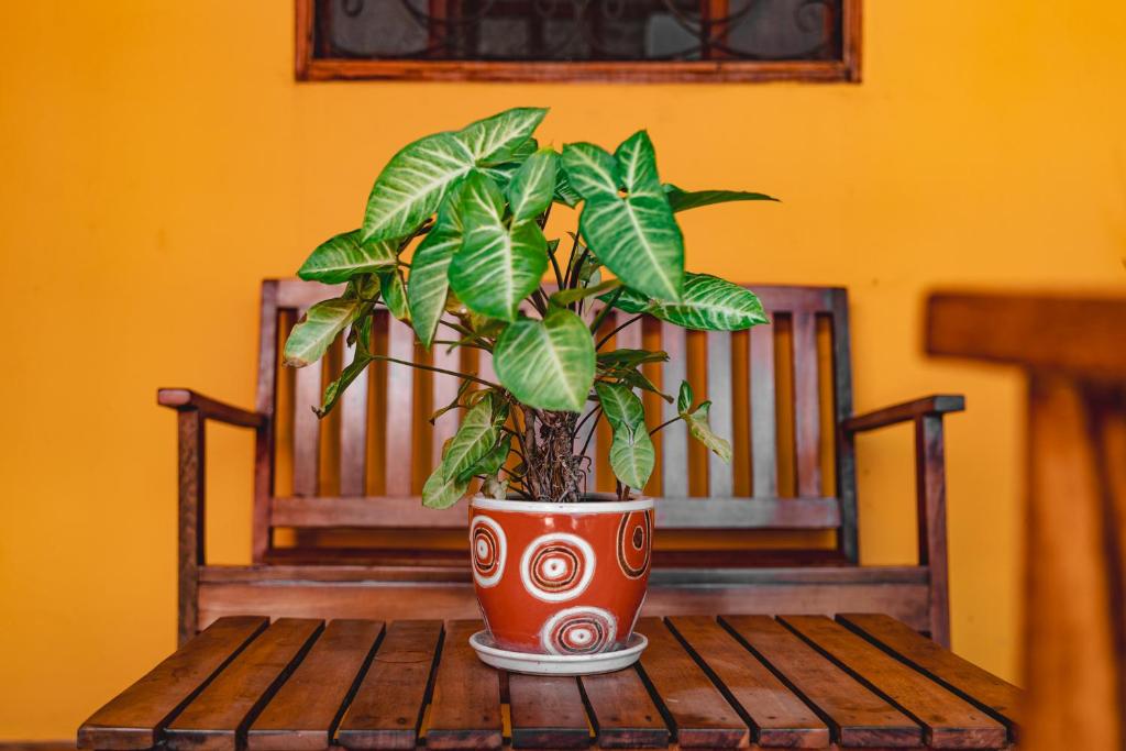 Casa Vicenta Izamal - Tap to explore photos