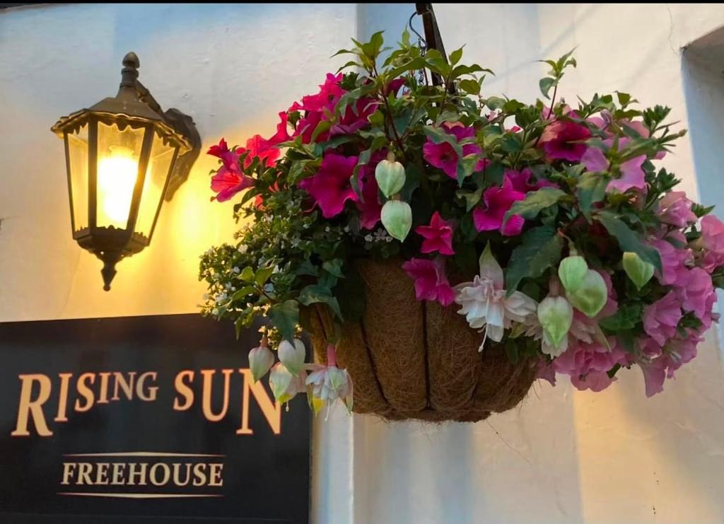 Rising Sun Sidford, Devon