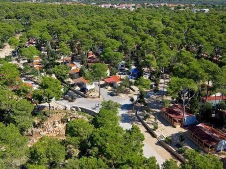 Baobab Mobile Homes photo 4