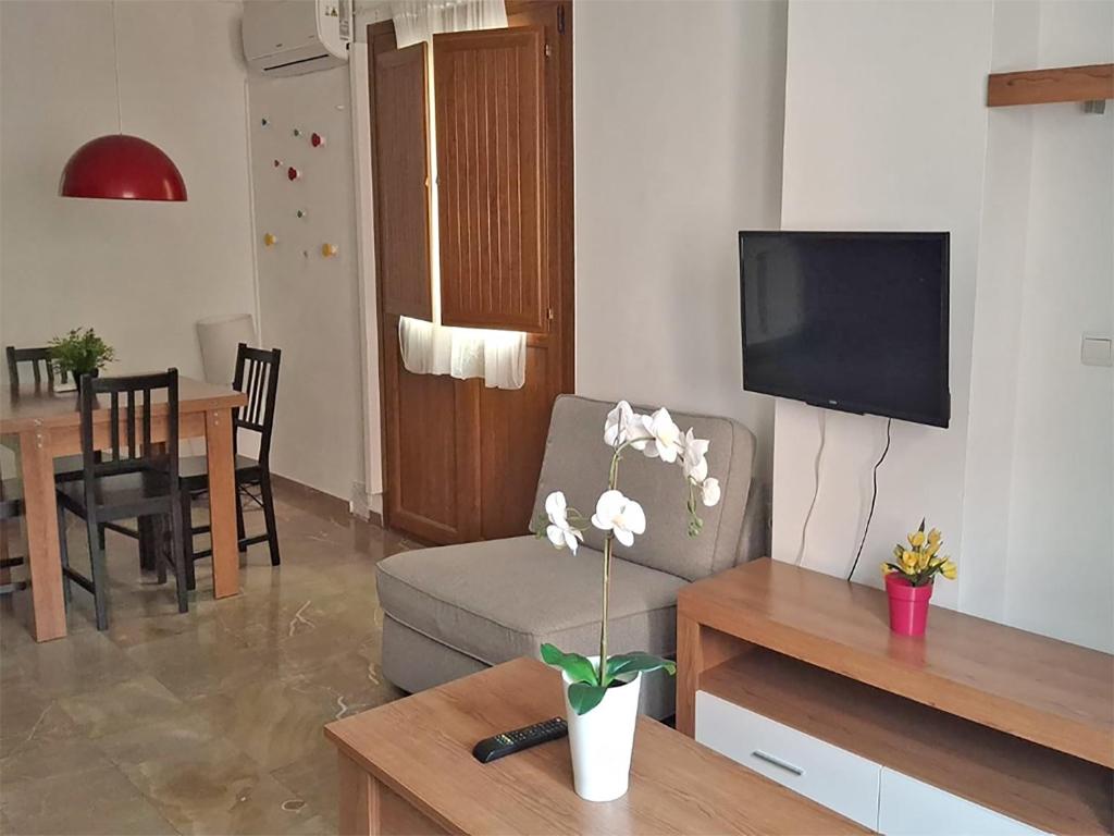 Apartamentos Catedral Plaza 3000 - Tap to explore photos