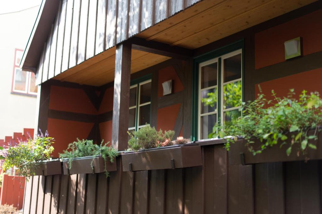 Двухместный (Двухместный номер Делюкс с 1 кроватью), Hotel Deutsches Haus