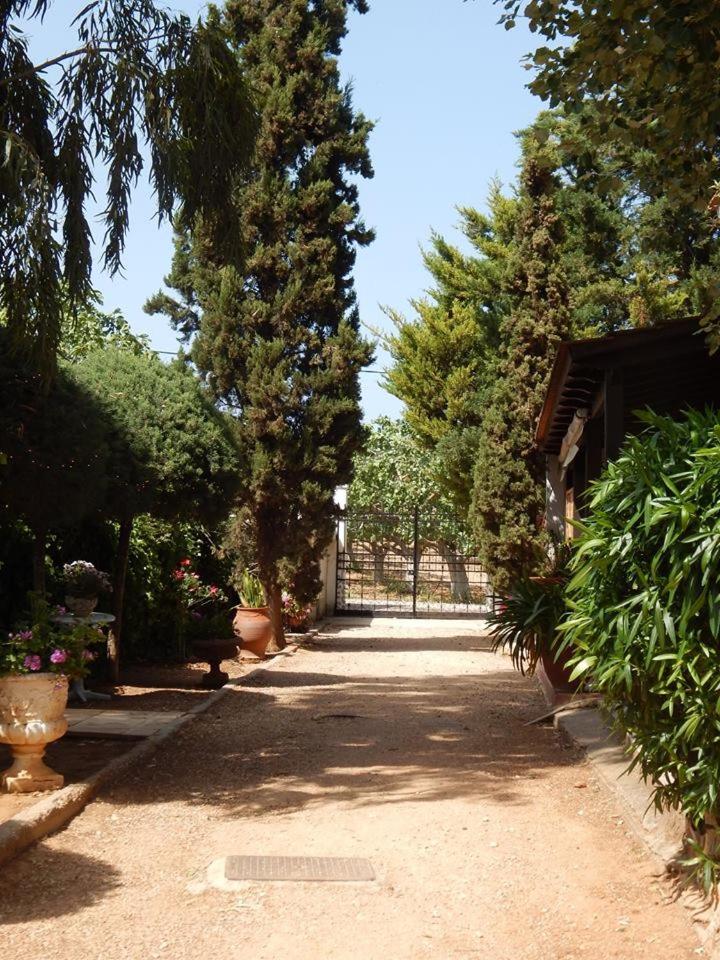 Gallery Basement in Villa Vravrona photo 2