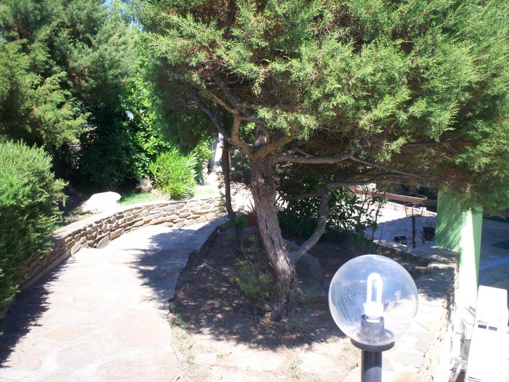 La Dea Madre photo 2